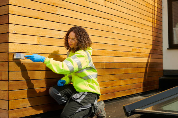 Best Siding Painting and Refinishing  in Taos, MO